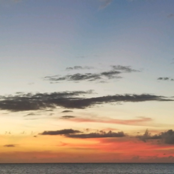 Meet your Posher, Chris - Picture 1 of 1